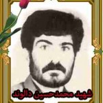قاب شهید محمدحسین دالوند