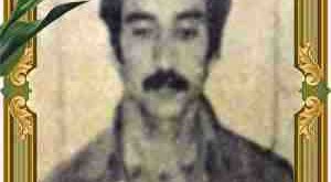 شهید علی محمد معظمی گودرزی